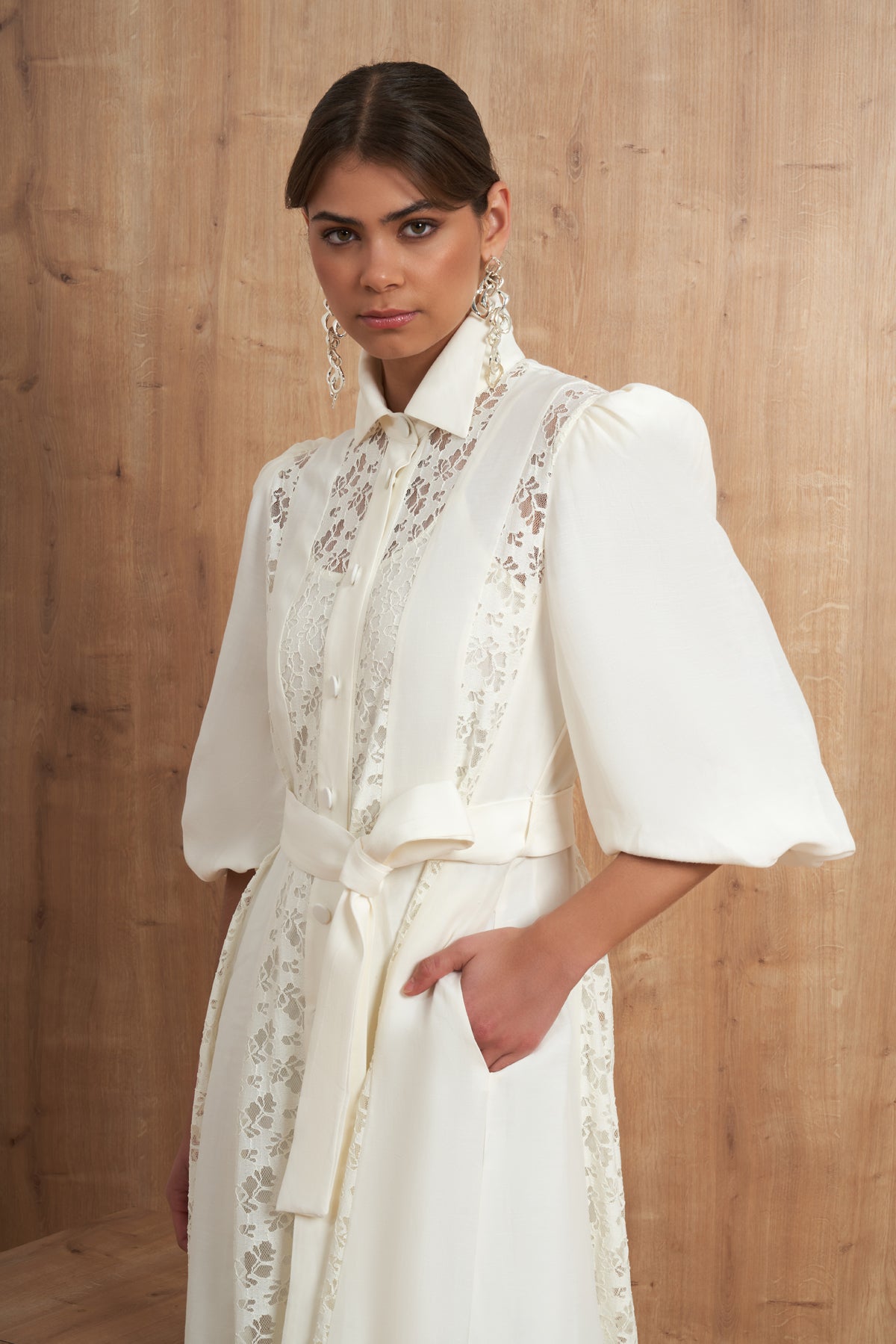 Lace Panel Belted Dress
